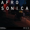 afrosonica soundscapes musée d'ethnographie