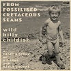 wild billy childish-from fossilised cretaceous seams: a short history of his song & dance groups 2lp
