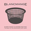 blancmange everything is connected too: the best of blancmange 1979-2004