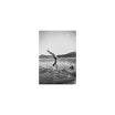 civilistjävel!-fyra platser ep