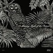 kaoru inoue-a missing myth of the future lp