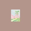 acchiappashpirt-ninnulla lp