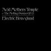 acid mothers temple electric heavyland riot season