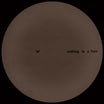 adam feingold-nothing is a field ep