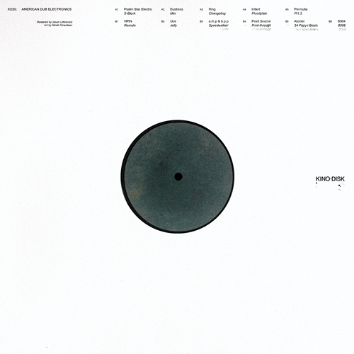 various-american dub electronics lp