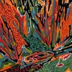 akusmi-terra incognita lp
