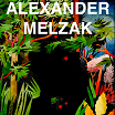 alexander melzak-substrates lp