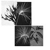 andrew pekler new environments rhythm studies faitiche