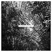 andrew pekler-tristes tropiques lp