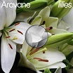 arovane-lilies lp