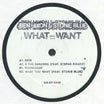 ben hixon & stonie blue-what you want ep