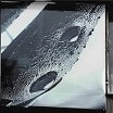ben klock & fadi mohem-layer one 2lp