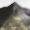 bill laswell & p.st-mount analogue 2cd