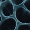 blndr radiolaria hypnus