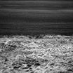 boris oicherman voices translations of paul celan in dub hybrid arts