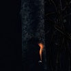 bzdb-jump ship, sit lean, be still, stand tall lp