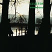 cluster-sowiesoso (50th anniversary edition) lp