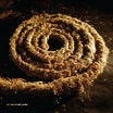 coil nine inch nails recoiled cold spring