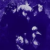 cramps transilvanian tapes