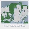 djrum-under tangled silence 2lp
