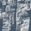 driftwood-maps cd