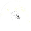 dubatech-ginkgobaum ep