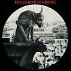 current 93 dogs blood rising cashen's gap