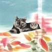 eddie marcon carpet of fallen leaves morr music