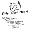 eden burns-big beat manifesto vol xi ep