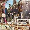 ergo phizmiz-selected ambient & asmr works 2001-2003 lp