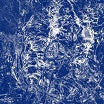 faith coloccia & daniel menche-smelter cd