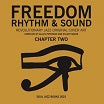 freedom rhythm & sound: revolutionary jazz original cover art chapter two: journeys to enlightenment compiled by gilles peterson & stuart baker book