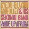 gyedu-blay ambolley wake up afrika