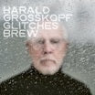 harald grosskopf-glitches brew lp