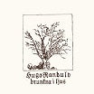 hugo randulv drunkna i ljus discreet music