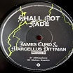 james curd marcellus pittman anosphere shall not fade