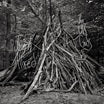 joseph allred-the old gods lp