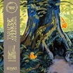 katatonic silentio-paradise mountain lp