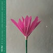 kiri ra!-nen lp