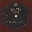 kosh lost in change syncrophone