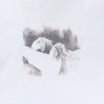 lavurn-baby it cold outside lp