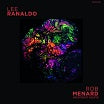 lee ranaldo / rob menard-sky hauling / ascension sound cs