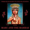 mac & the mambas three black nights of little black bites cold spring