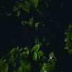 martina bertoni-music for empty flats lp