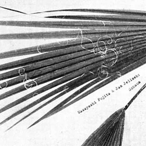 masayoshi fujita & jan jelinek-schaum lp