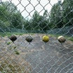 mats gustafsson / kimmo pohjonen-two balls are enough cd