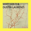 matt gold / dustin laurenzi-devotional fade lp