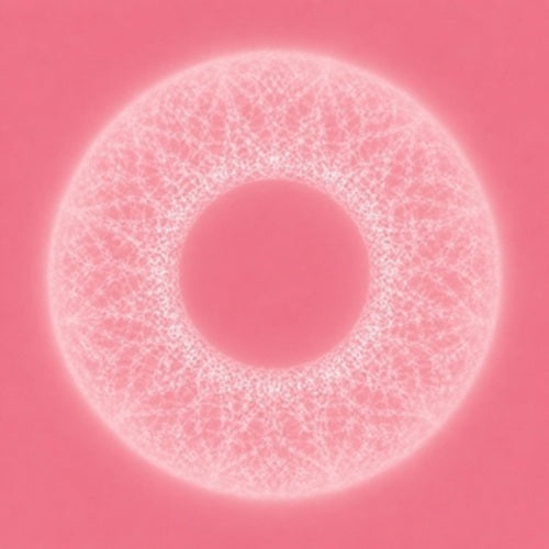 merzbow & pedro vian-bardo thodol lp