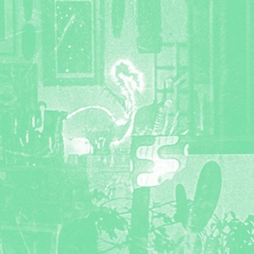 mike cooper-stochastic parrot cd