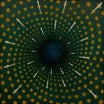 mohammad reza mortazavi-nexus lp